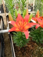 [5024 Matrix No01.JPG]